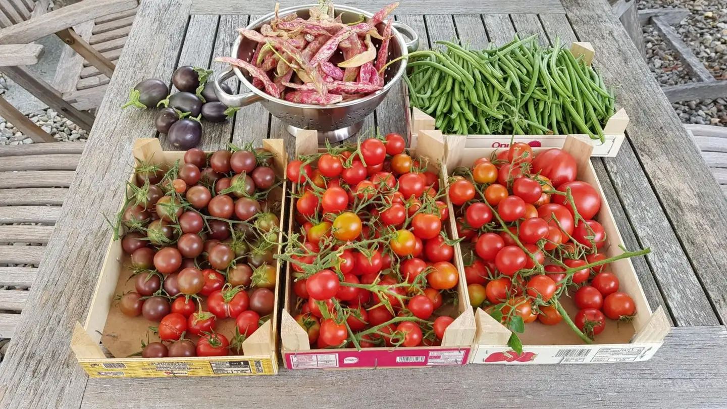 Maison individuelle à vendre - 2932 Coeuve - Photo 2