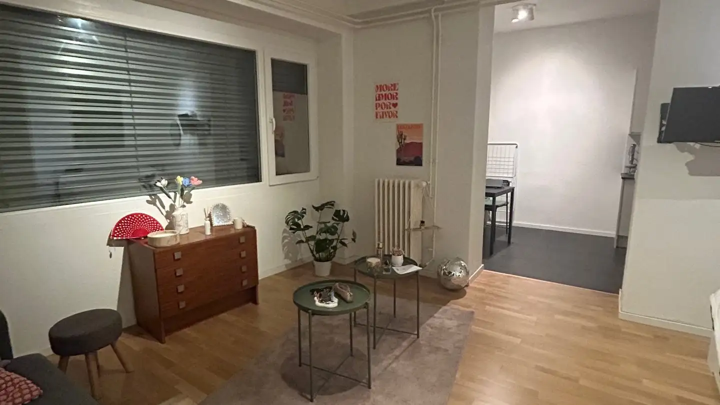 Appartamento in affitto - 1170 Aubonne