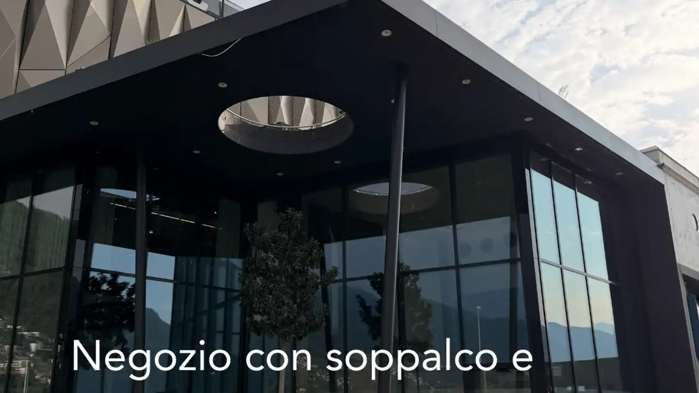 Immeuble industriel à louer - Via Stradonino 1, 6595 Riazzino