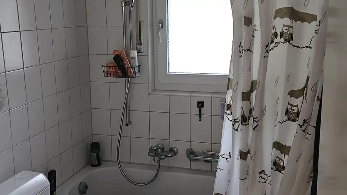 Wohnung mieten - Staatsstrasse 165, 3626 Hünibach - Foto 3