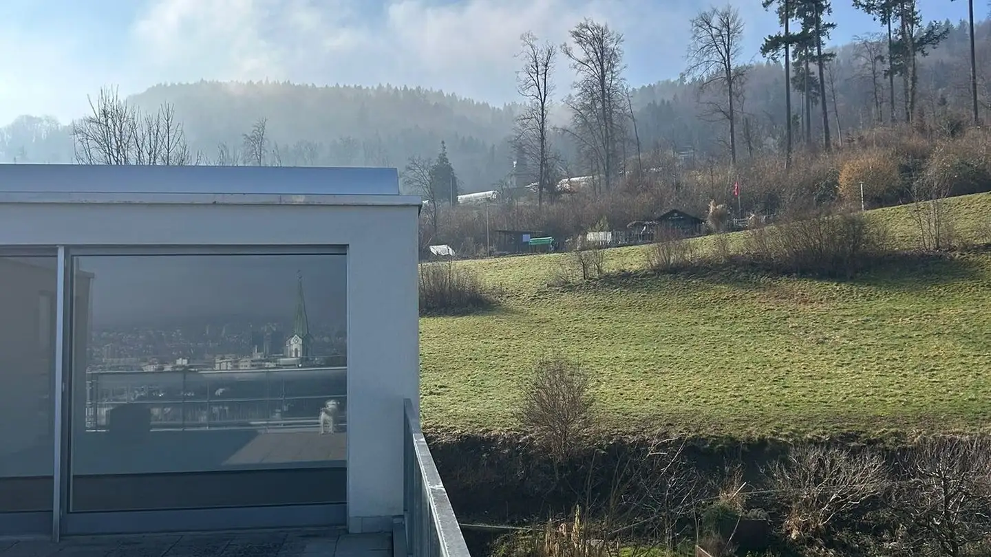 Penthouse for rent - Hagenbuchrain 36, 8047 Zürich - Photo 4