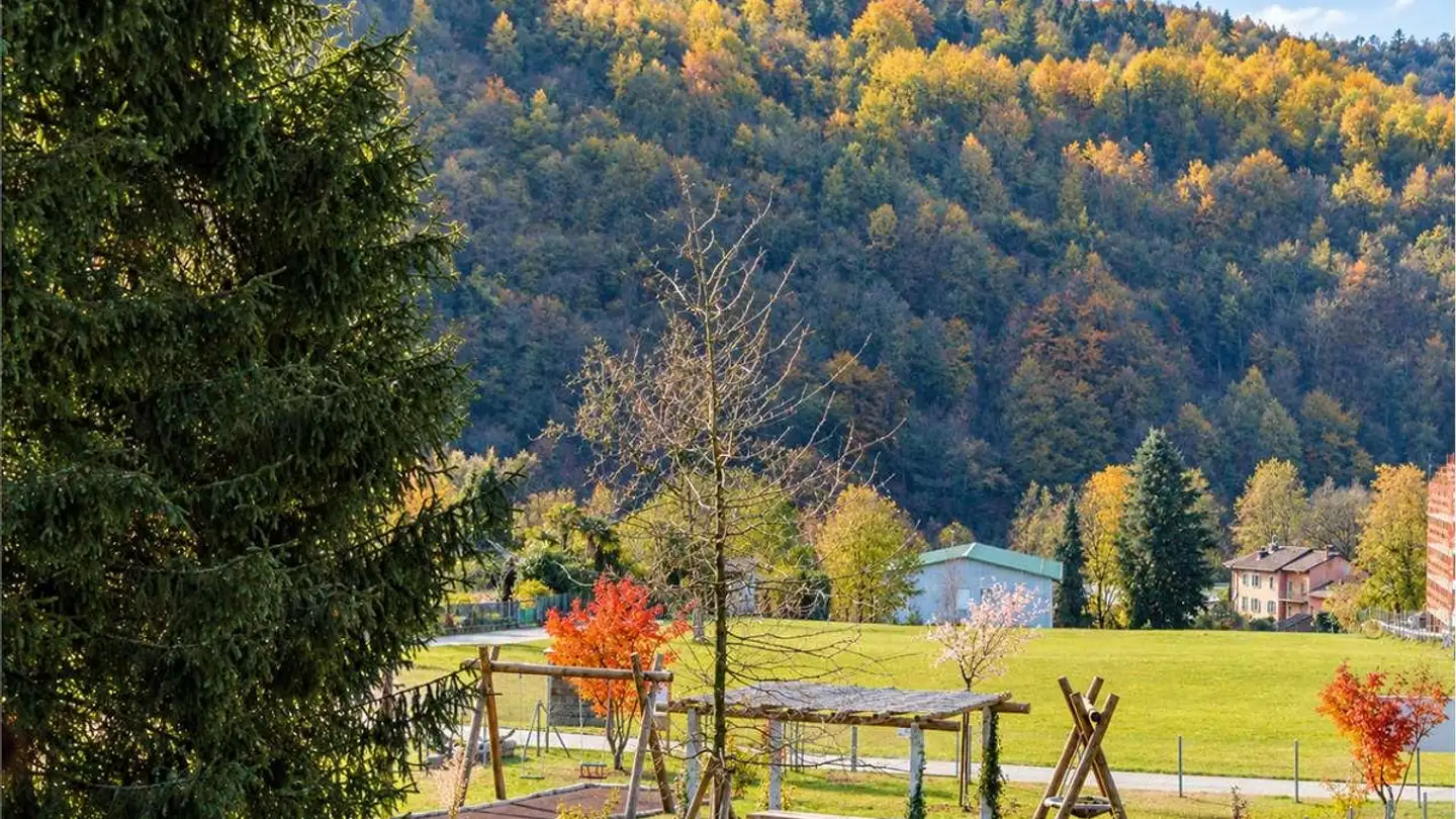 Wohnung mieten - Via Monteggio, 6998 Monteggio - Foto 4