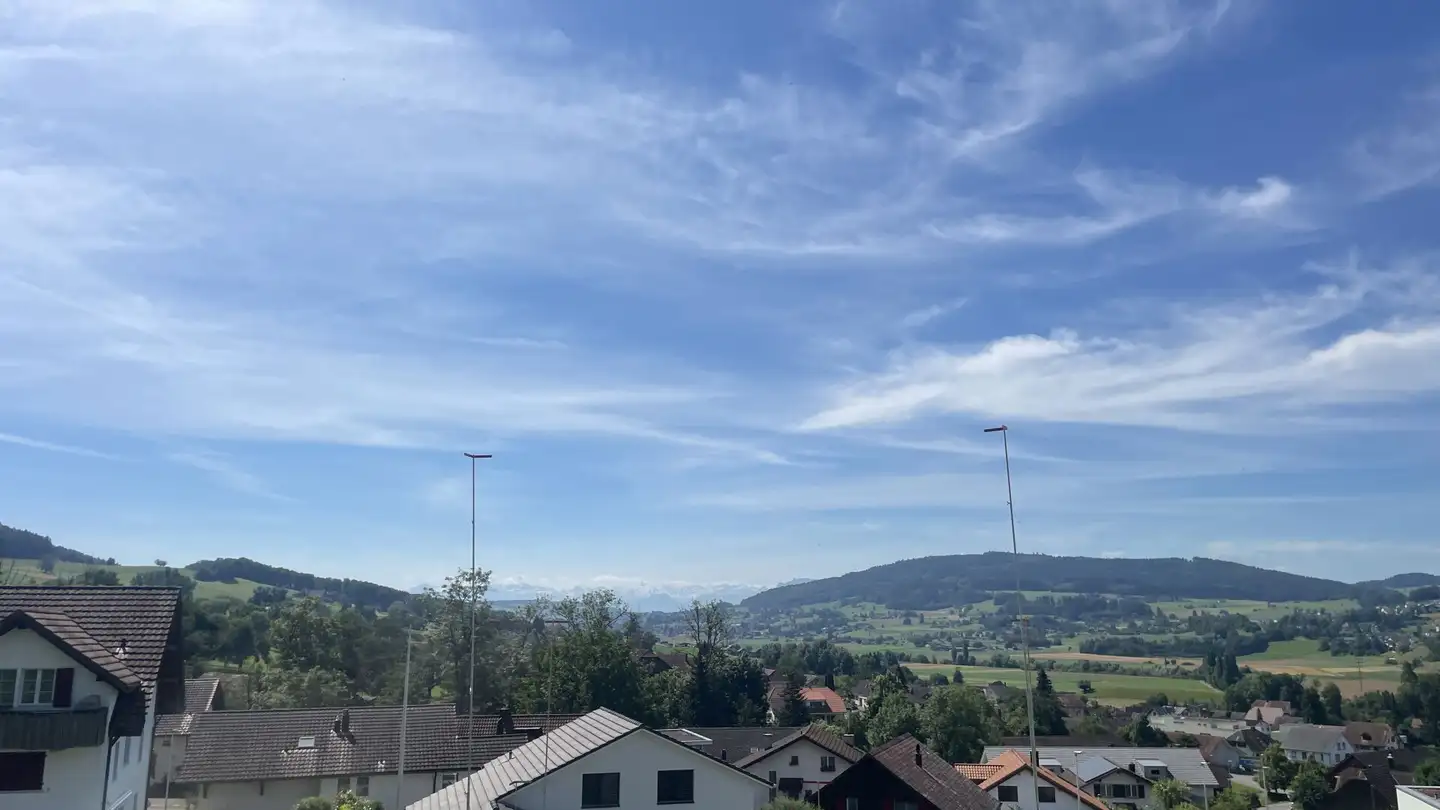 Appartement en terrasse à vendre - Wandfluhstrasse, 5732 Zetzwil - Photo 3