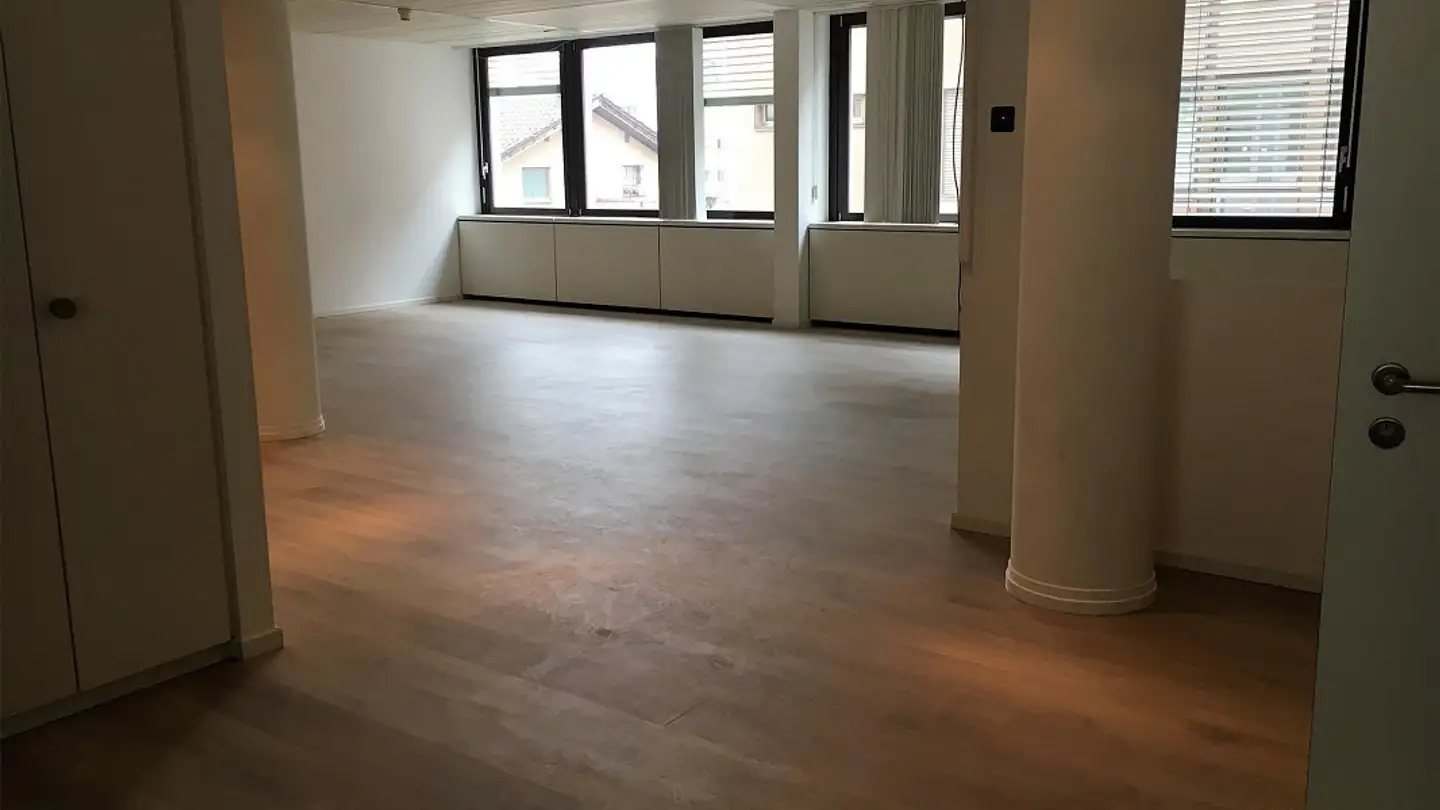 Commercial for sale - 6830 Chiasso - Photo 4