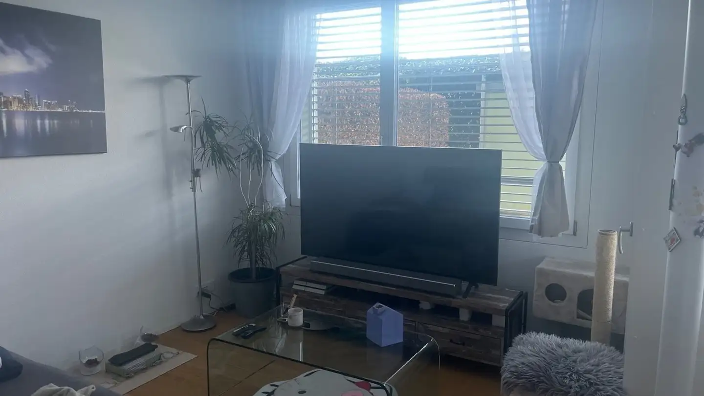 Appartamento in affitto - 6440 Brunnen