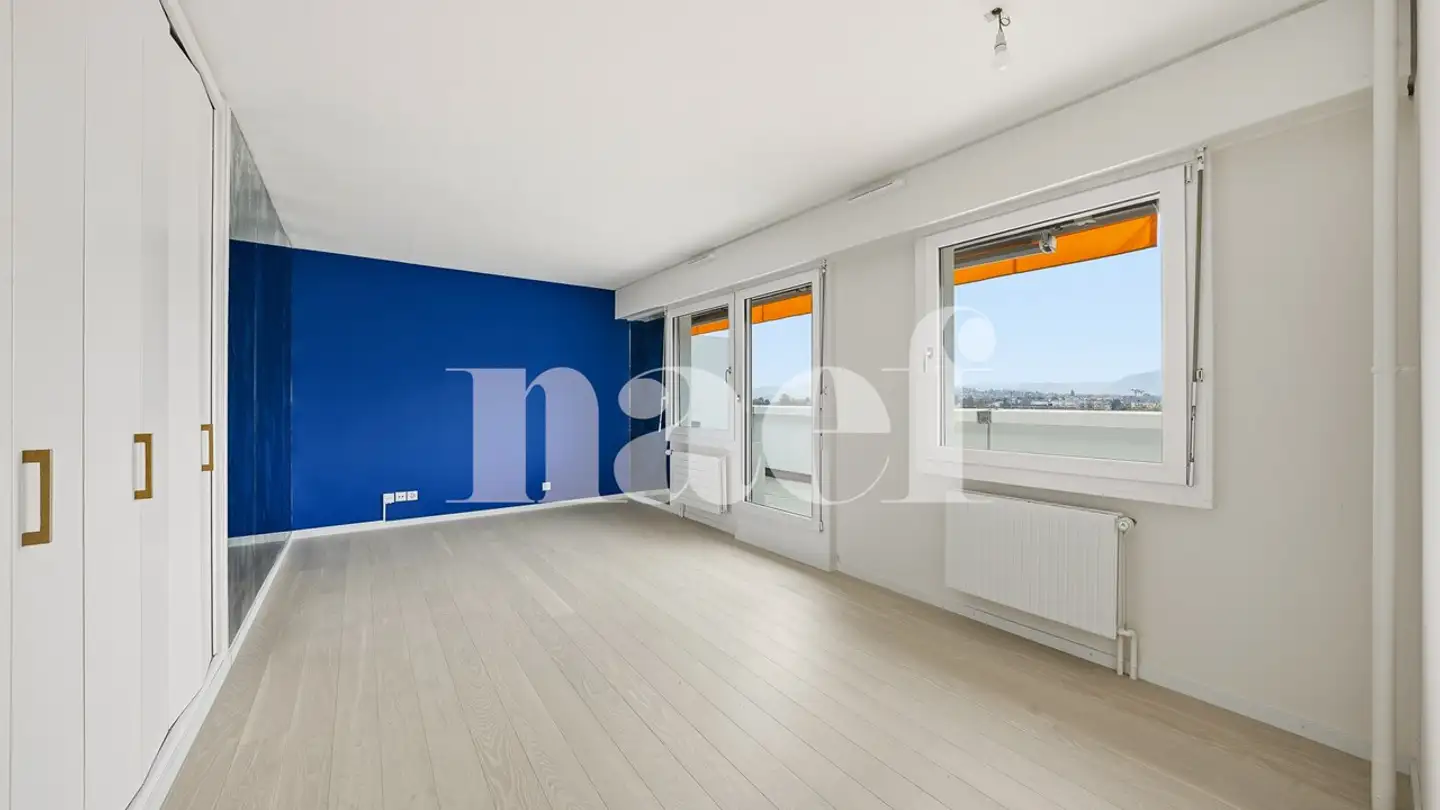 Attique à vendre - 1213 Petit-Lancy - Photo 4