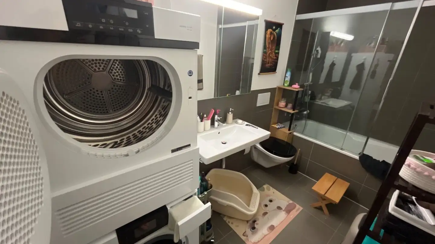 Appartamento in affitto - 6440 Brunnen - Foto 4