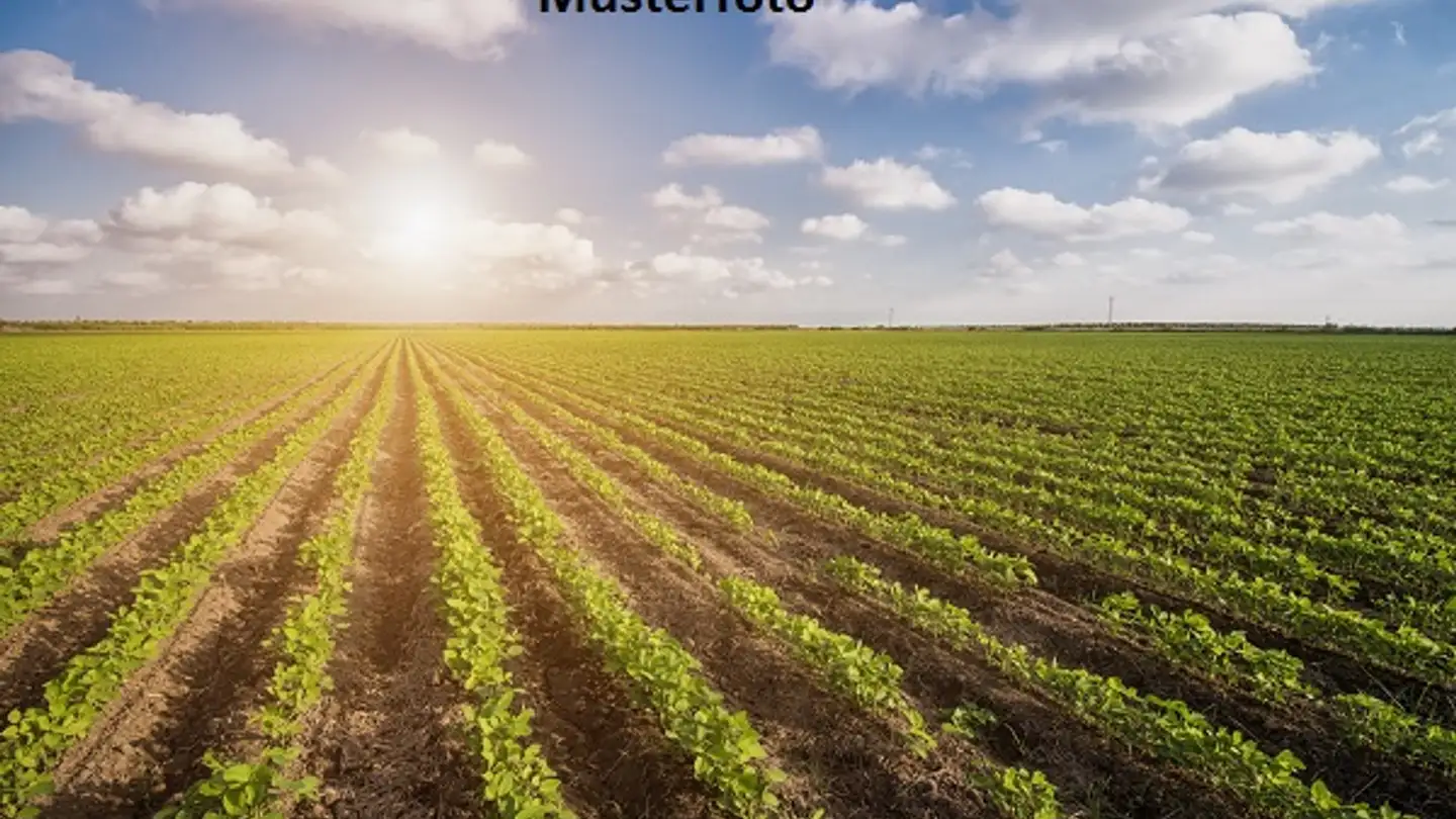 Ferme à vendre - Chemin De Chalamont, 1434 Ependes VD