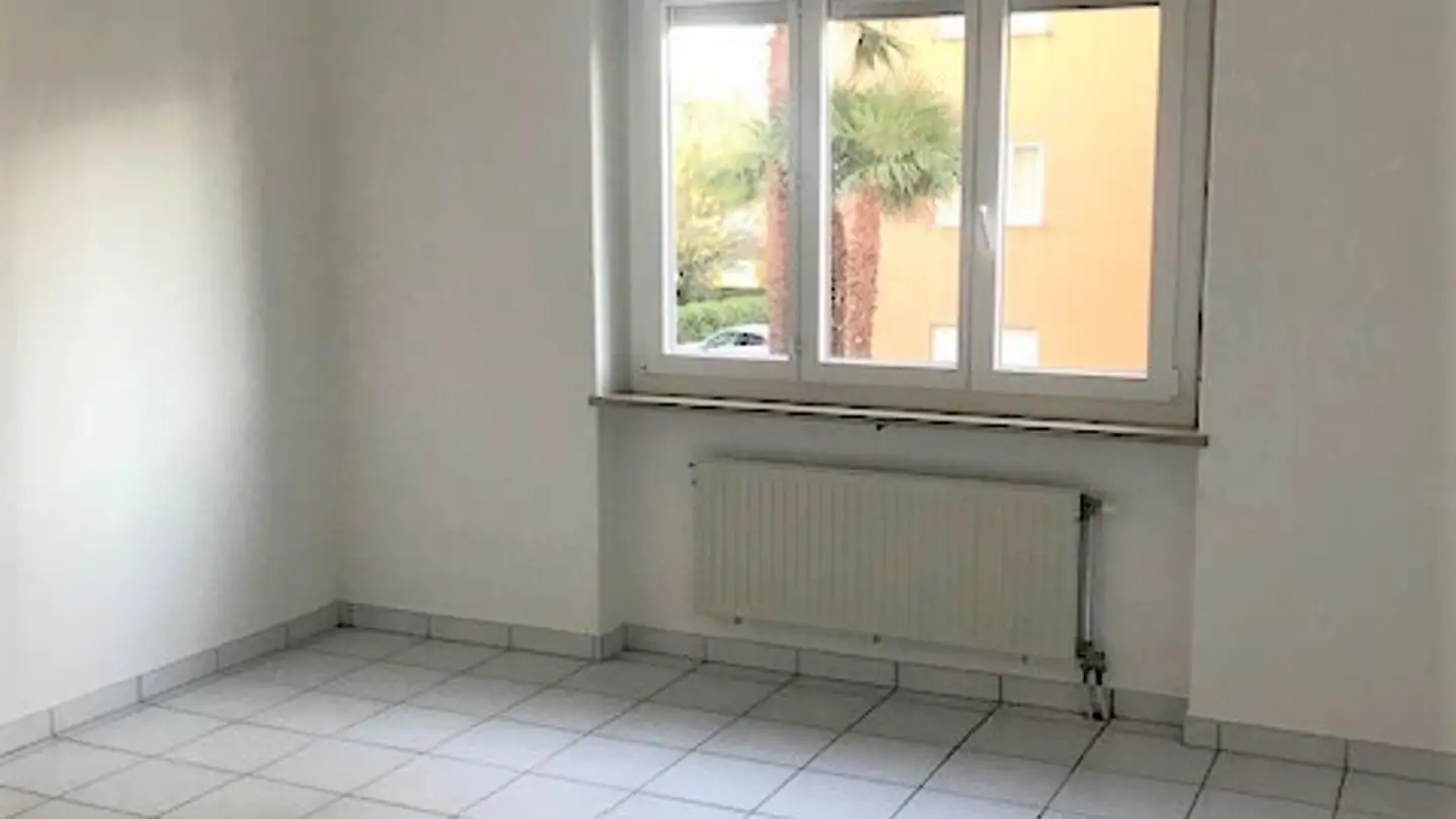 Appartement à louer - Via Delta 1, 6612 Ascona - Photo 4