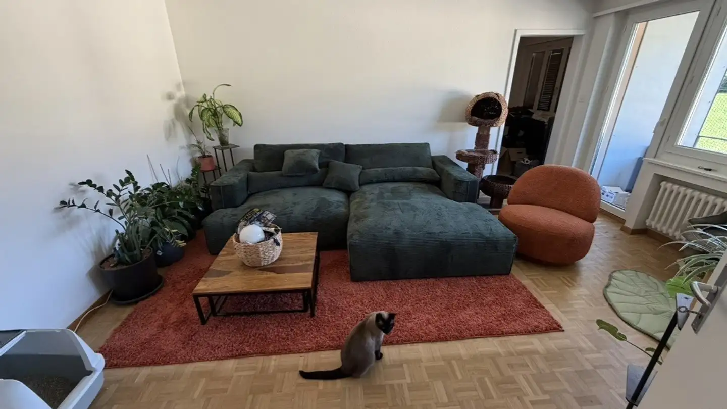 Appartamento in affitto - Graneggstrasse 11, 8280 Kreuzlingen - Foto 2