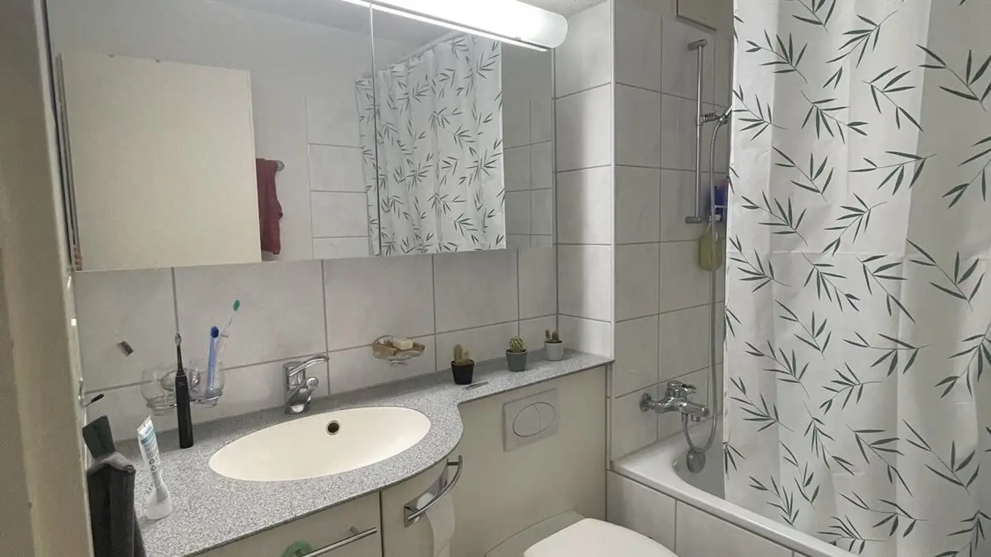 Appartamento in affitto - Hohensteinweg, 8055 Zürich - Foto 4