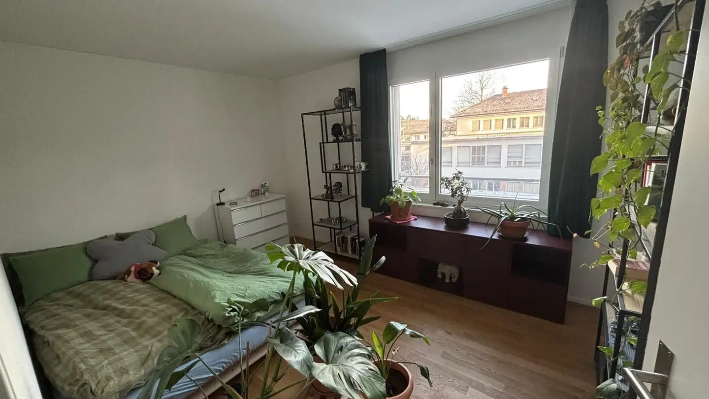 Single room for rent - Wehntalerstrasse 424, 8046 Zürich - Photo 2