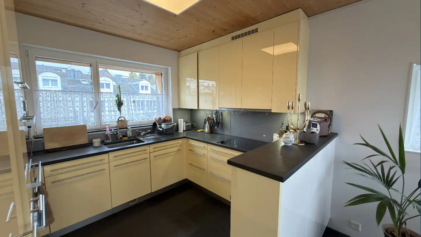 Duplex for sale - Haldensteinstrasse, 8105 Watt - Photo 3