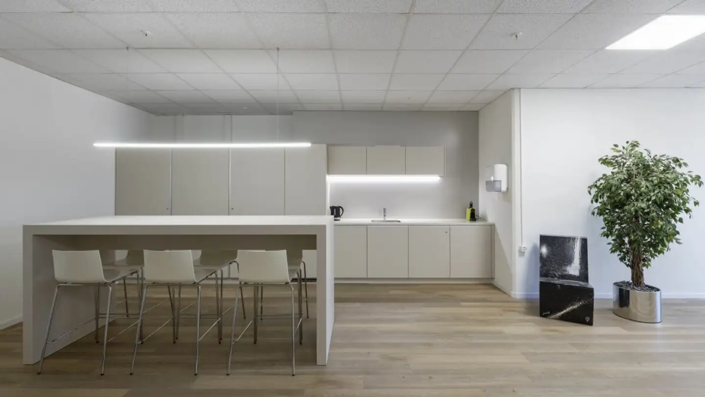 Bürofläche mieten - Badstrasse 50, 5200 Brugg AG - Foto 3