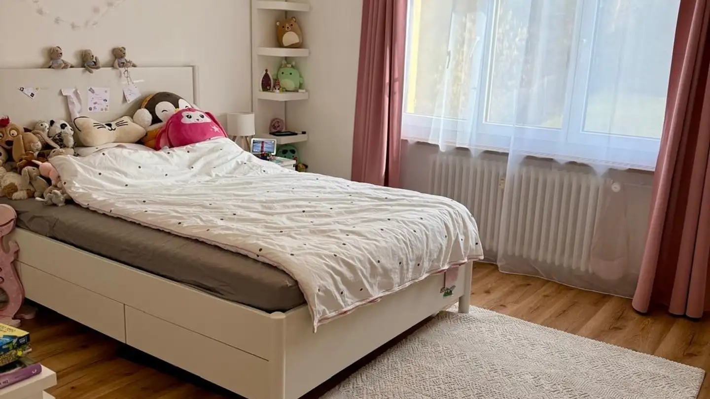 Zimmer mieten - Diebold-Schilling-Strasse 32, 6004 Luzern