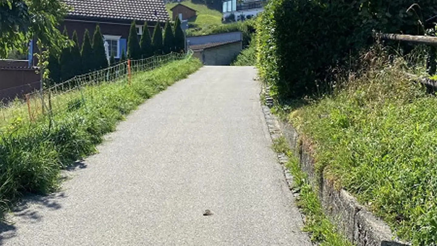 Constructible plot for sale - 9428 Walzenhausen - Photo 2