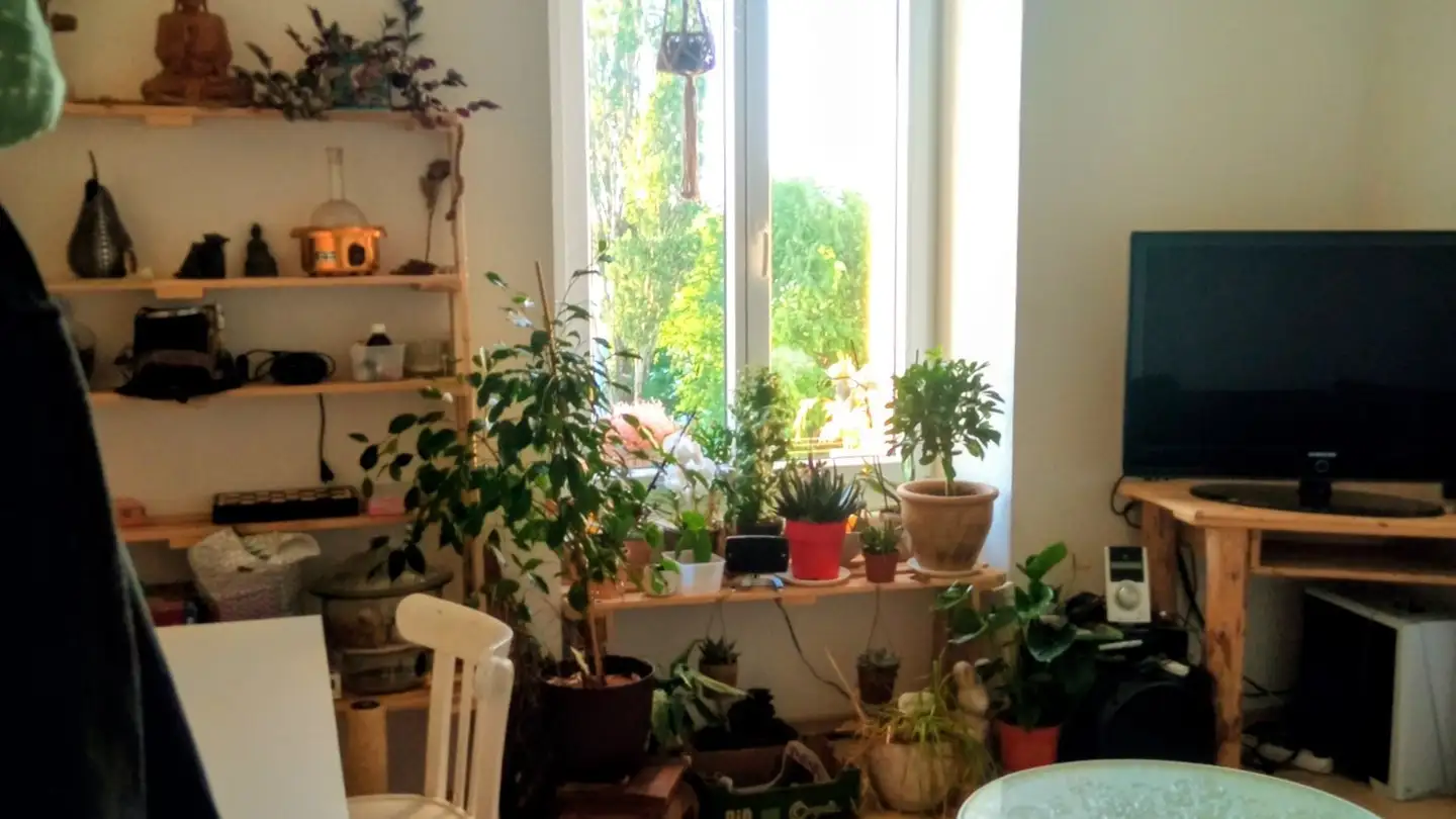 Apartment for rent - Rue Bellevue 11, 2206 Les Geneveys-sur-Coffrane