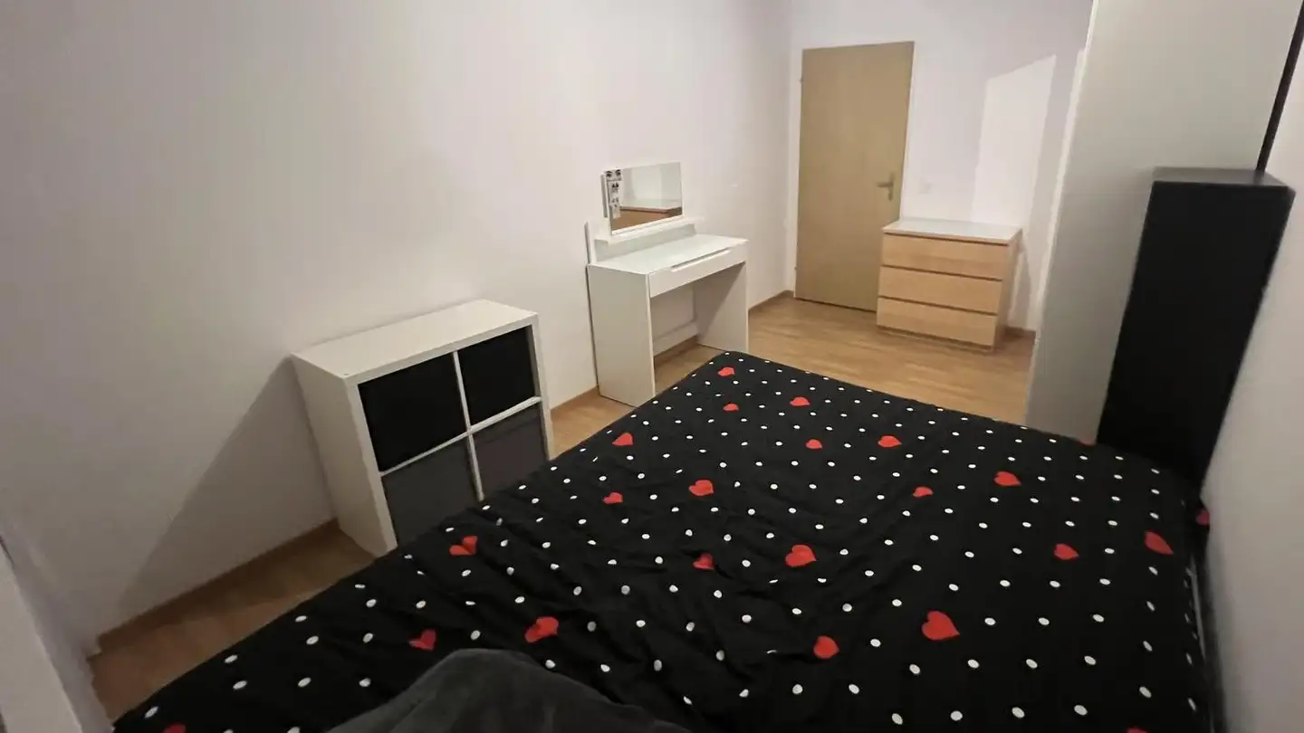 Furnished apartment for rent - 8953 Dietikon - Photo 2