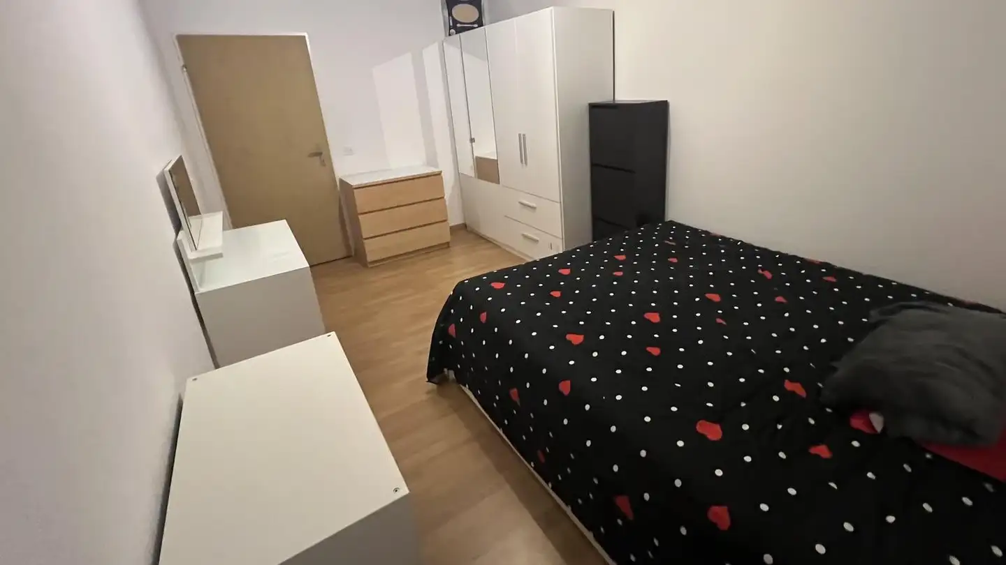 Furnished apartment for rent - 8953 Dietikon - Photo 3