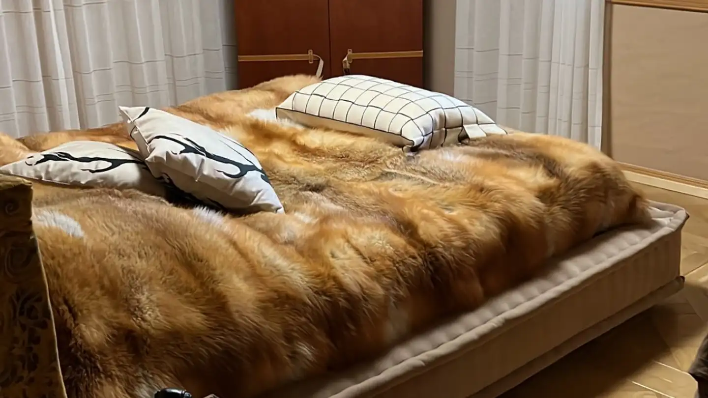 Appartamento in vendita - Route Des Chenolettes 55, 1660 Château-d'Oex - Photo 2