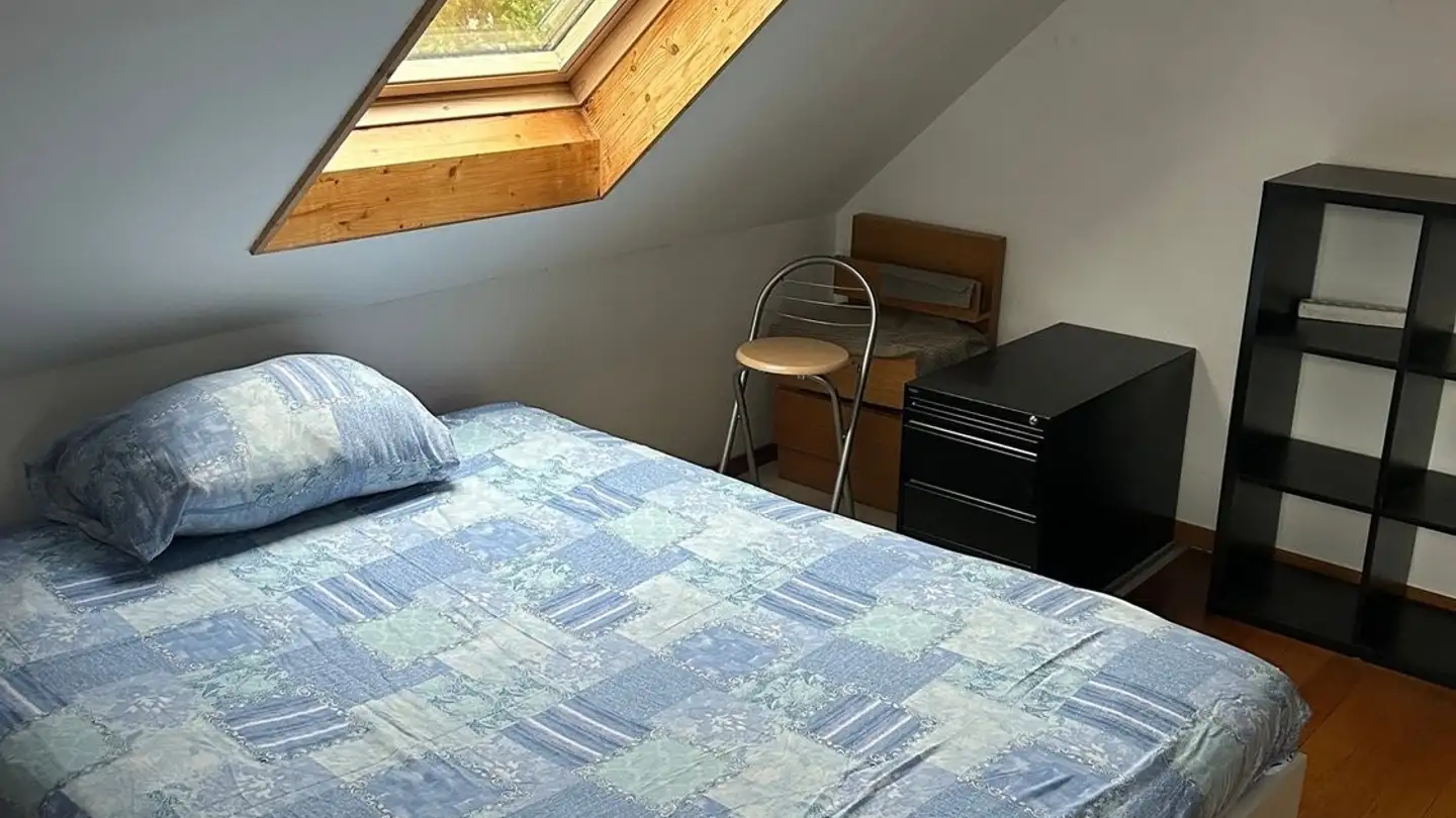 Single room for rent - Chemin De Bérée, 1010 Lausanne