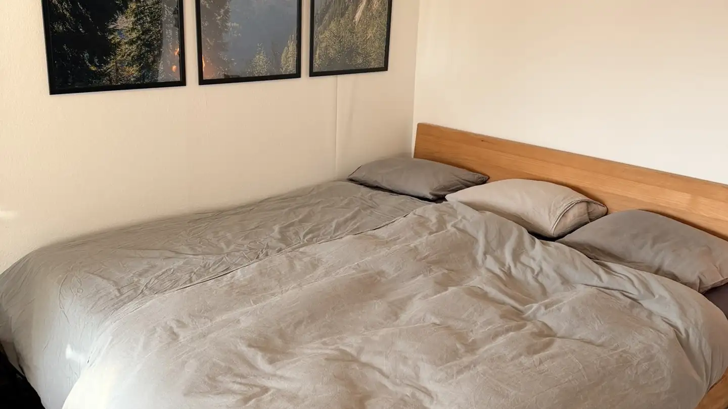 Appartement meublé à louer - Herrligstrasse 26, 8048 Zürich - Photo 3