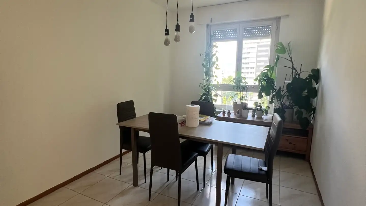 Wohnung mieten - Viale dei Faggi, 6900 Lugano - Foto 2