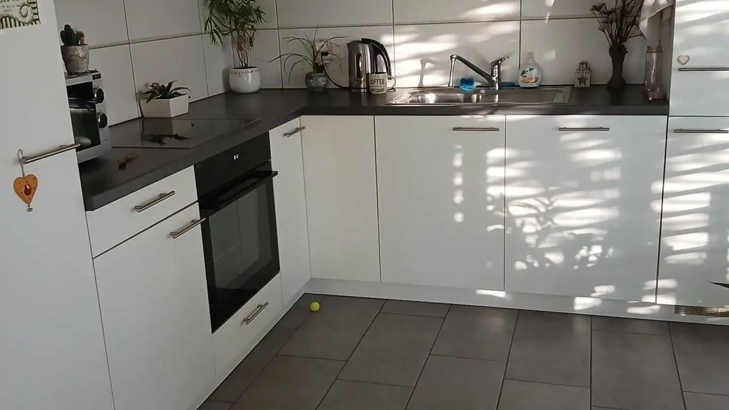 Appartamento in affitto - 1530 Payerne - Photo 4