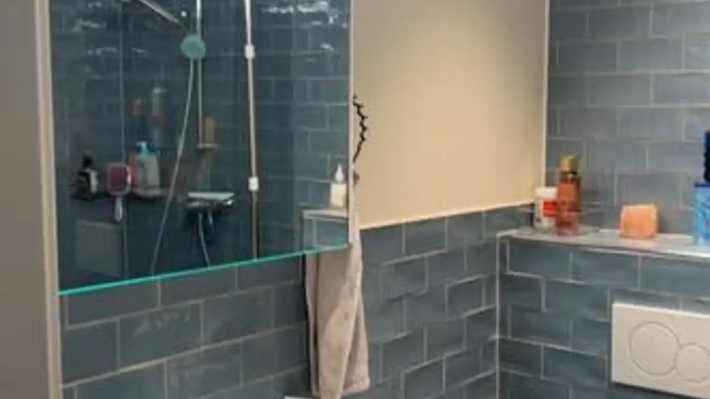 Appartamento in affitto - Rue De La Filature, 1227 Carouge GE - Photo 2