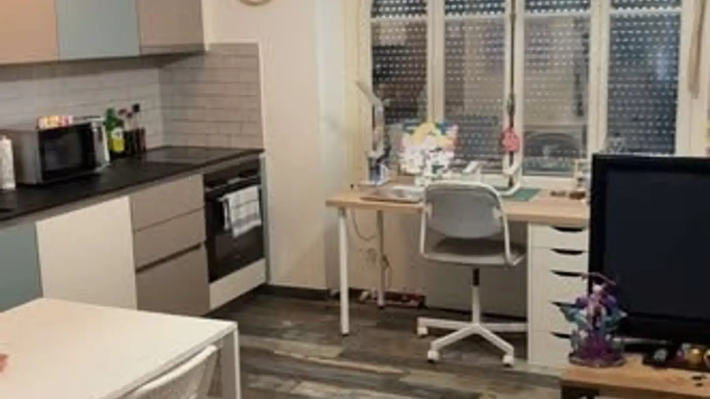 Appartamento in affitto - Rue De La Filature, 1227 Carouge GE - Photo 3