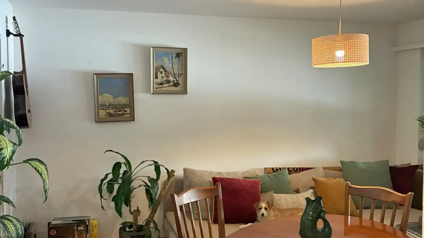 Single room for rent - 8400 Winterthur - Photo 3