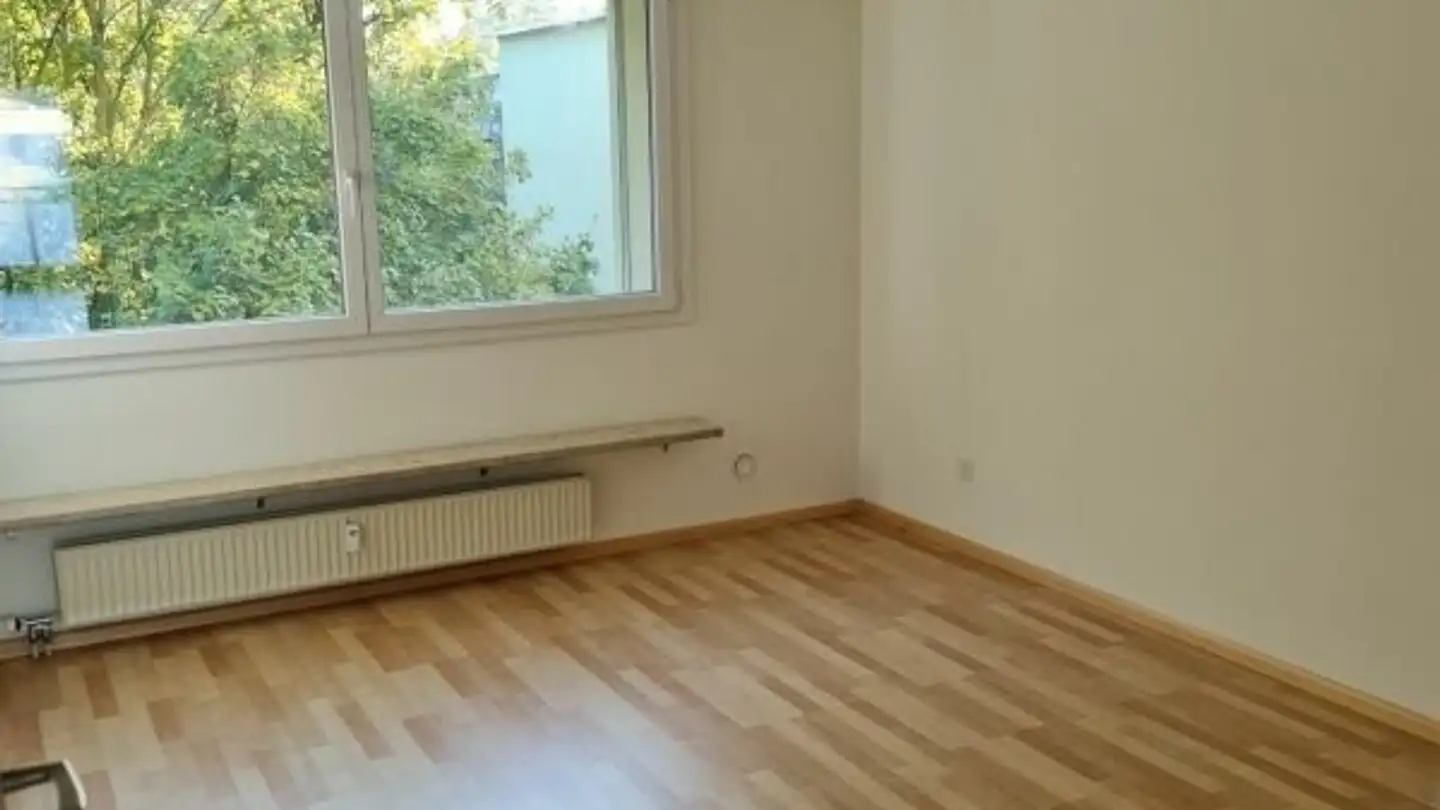 Appartamento in affitto - Neueneichweg 12, 4153 Reinach BL - Foto 4