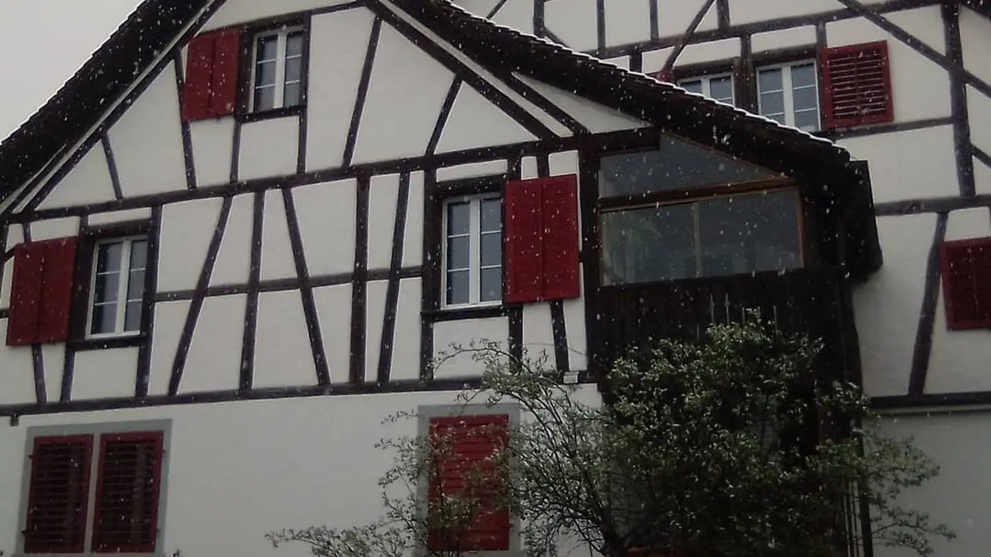 Appartamento in affitto - 8307 Effretikon - Photo 3