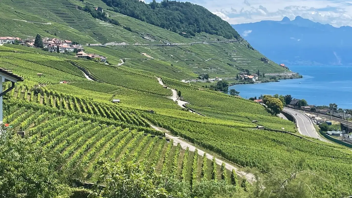 Appartamento in affitto - Rue Davel, 1096 Cully - Foto 3