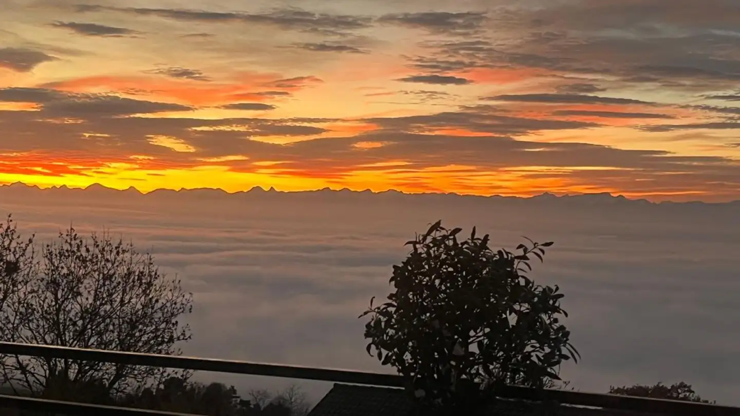 Appartement à vendre - 1421 Fontaines-sur-Grandson - Photo 2