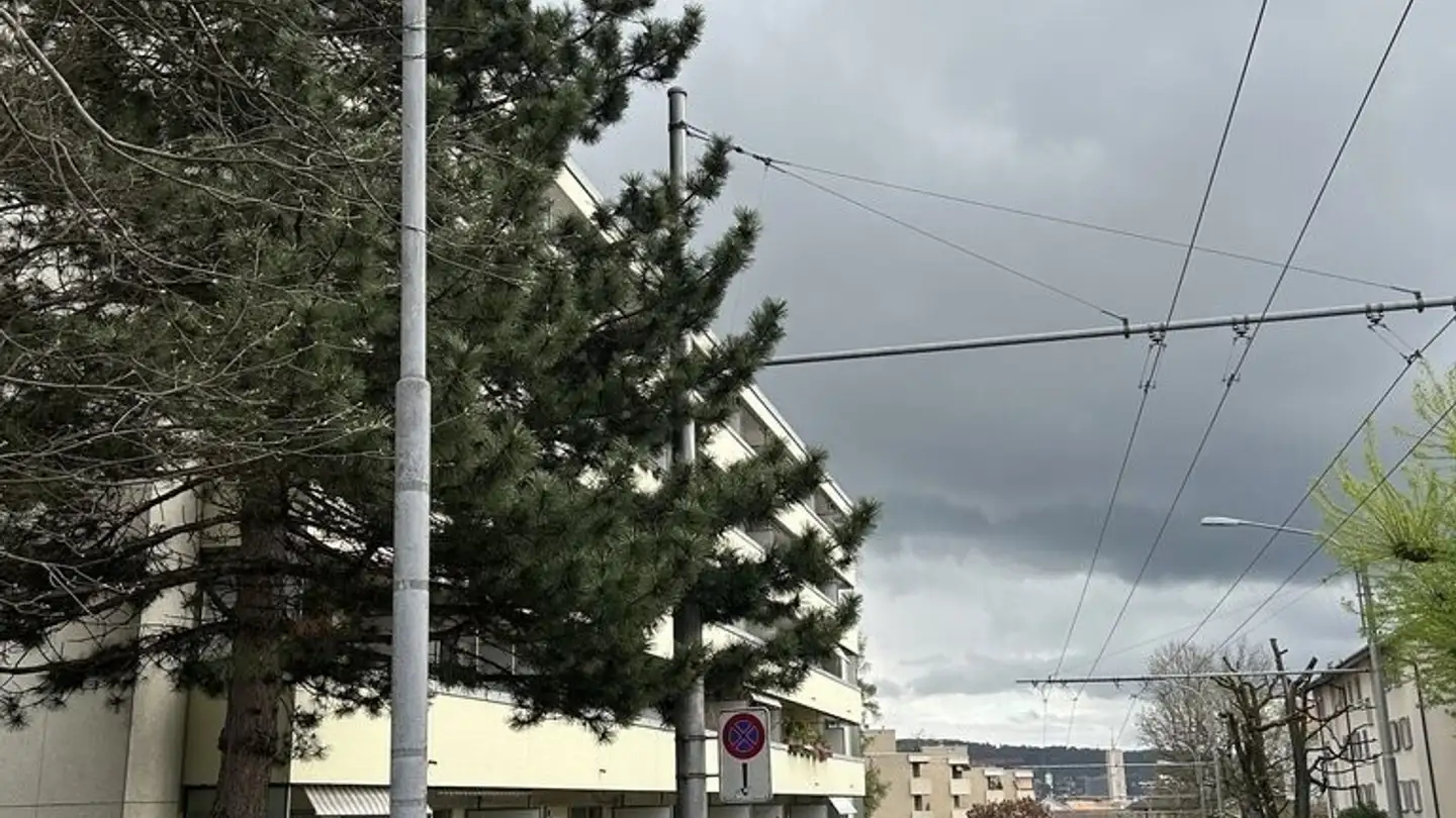 Parkplatz im Freien mieten - Letzigraben 236, 8047 Zürich