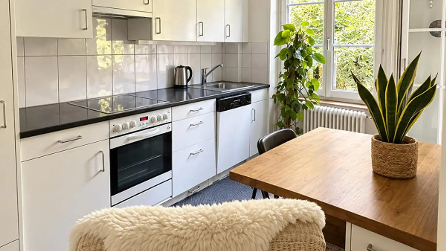 Appartement à louer - Dittingerstrasse 10, 4053 Basel