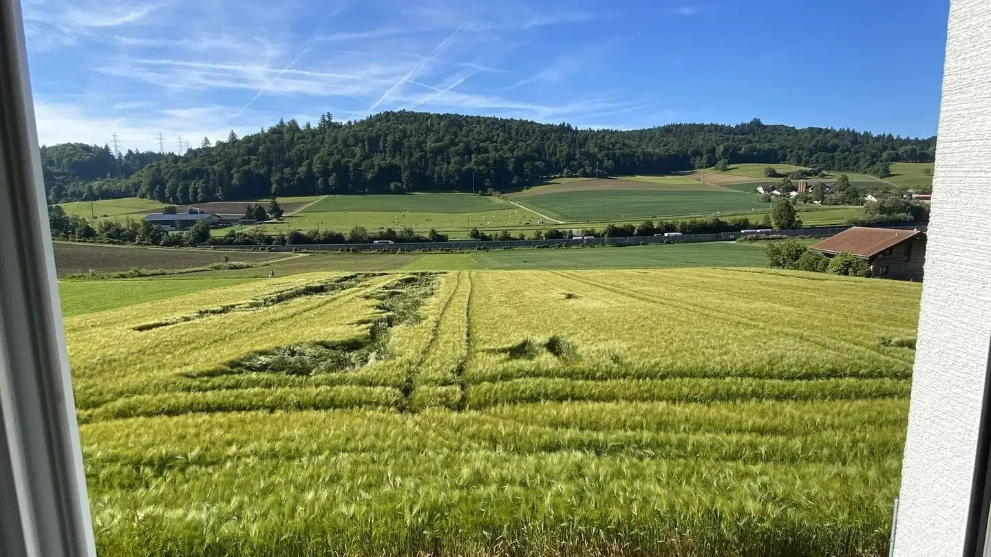 Reihenhaus mieten - Holzstrasse 35, 5745 Safenwil - Foto 2