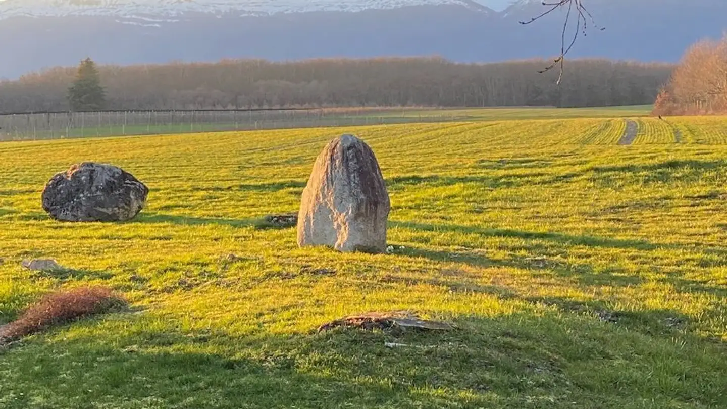 Single house for rent - Impasse Des Barjins 9, 1239 Collex