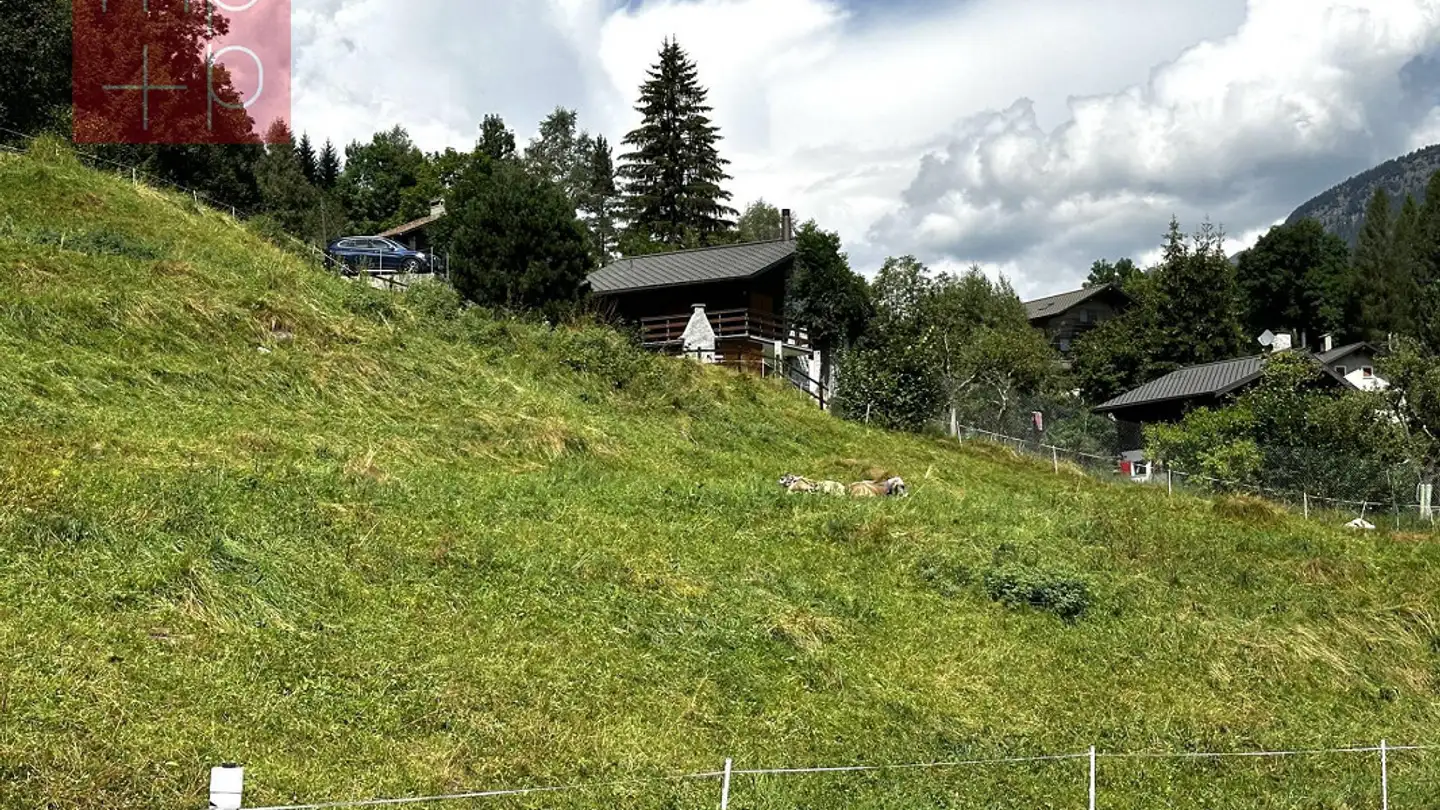 Constructible plot for sale - 6774 Dalpe - Photo 3