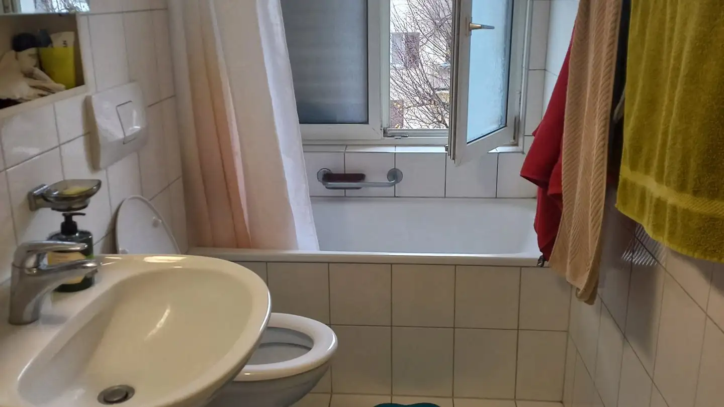 Chambre à louer - 8052 Zürich - Photo 3