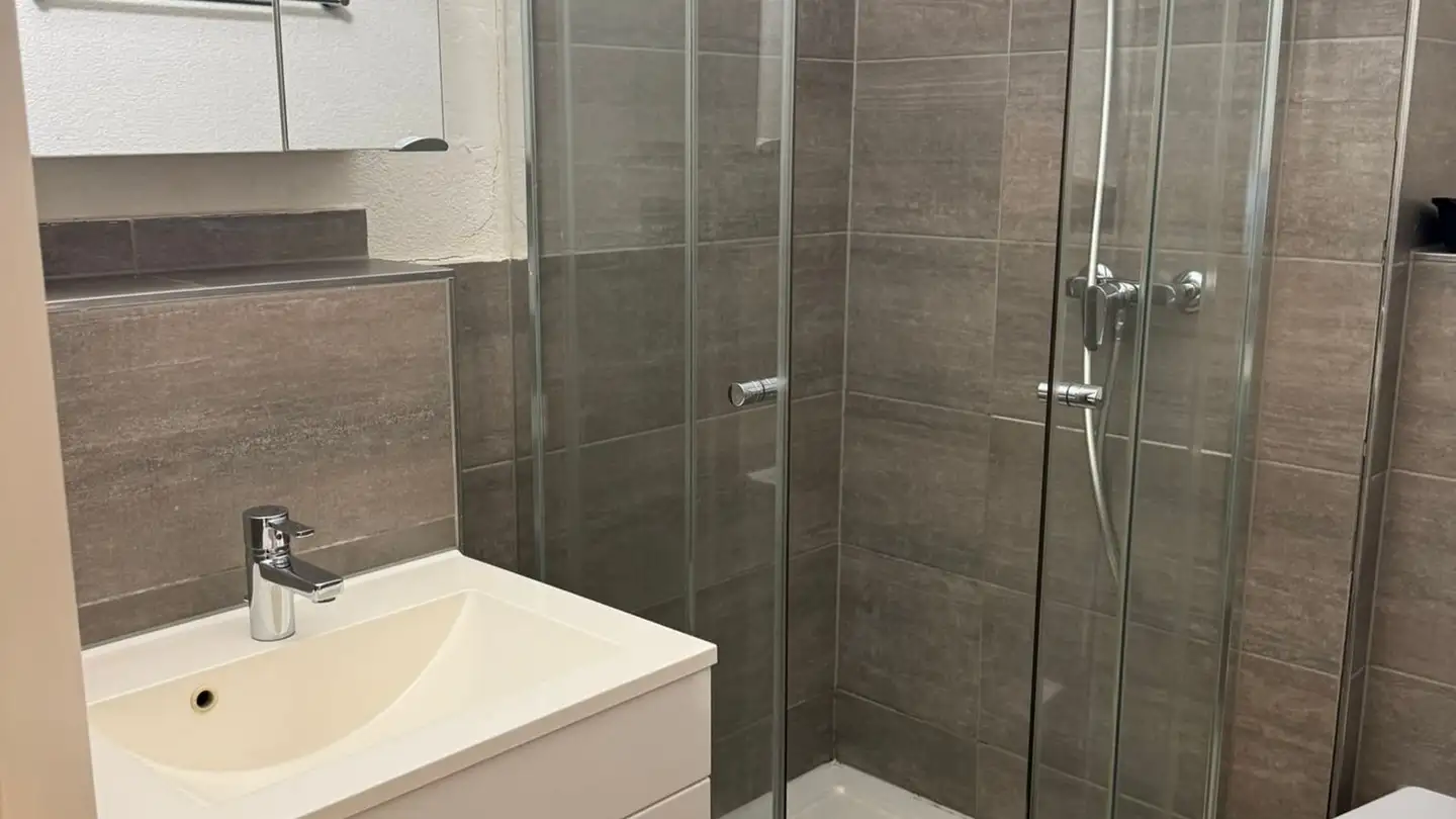 Apartment for sale - 4057 Basel - Photo 4