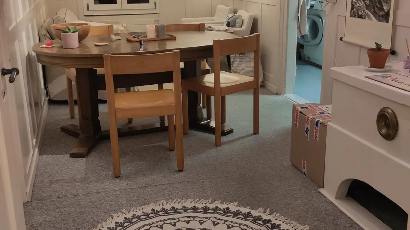 Möblierte Wohnung mieten - Obere Reppischstrasse 13, 8953 Dietikon