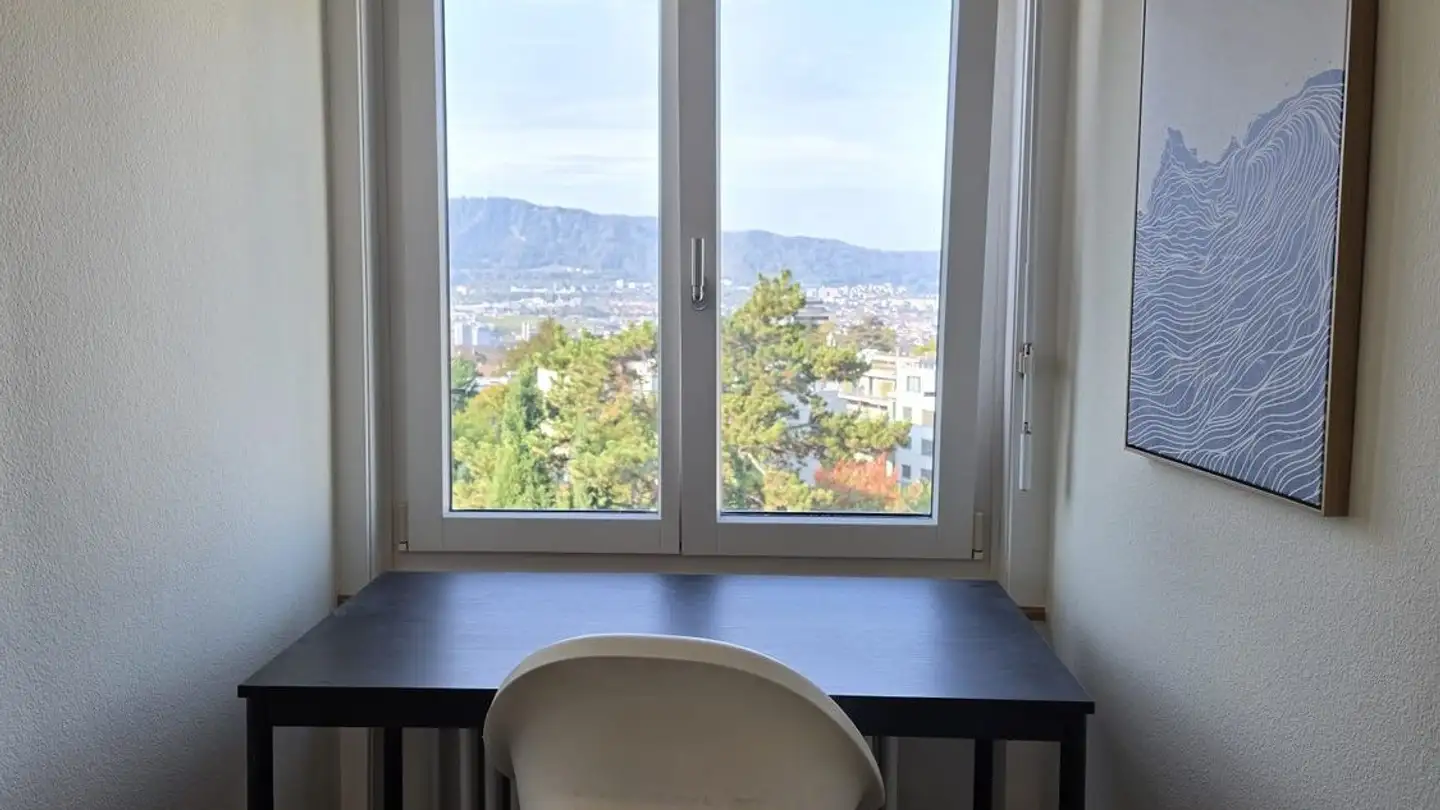Chambre à louer - Restelbergstrasse 12, 8044 Zürich - Photo 2