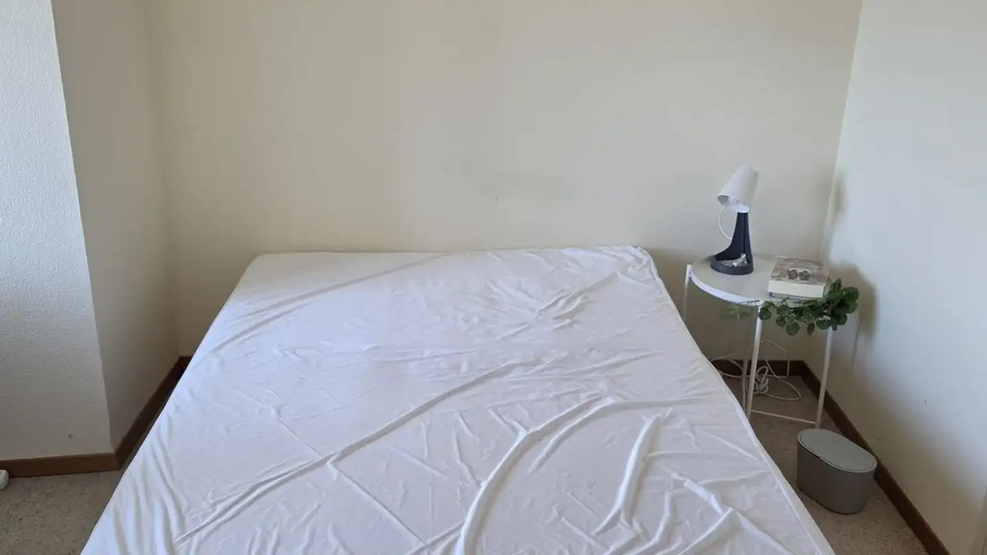 Chambre à louer - Restelbergstrasse 12, 8044 Zürich - Photo 3