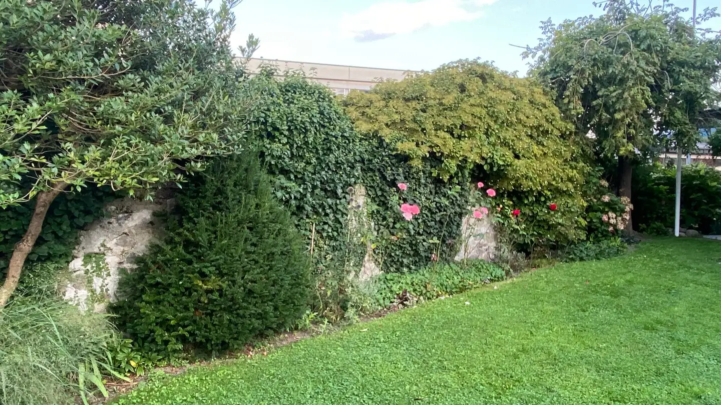 Wohnung mieten - Attinghauserstrasse 19, 6460 Altdorf UR - Foto 4