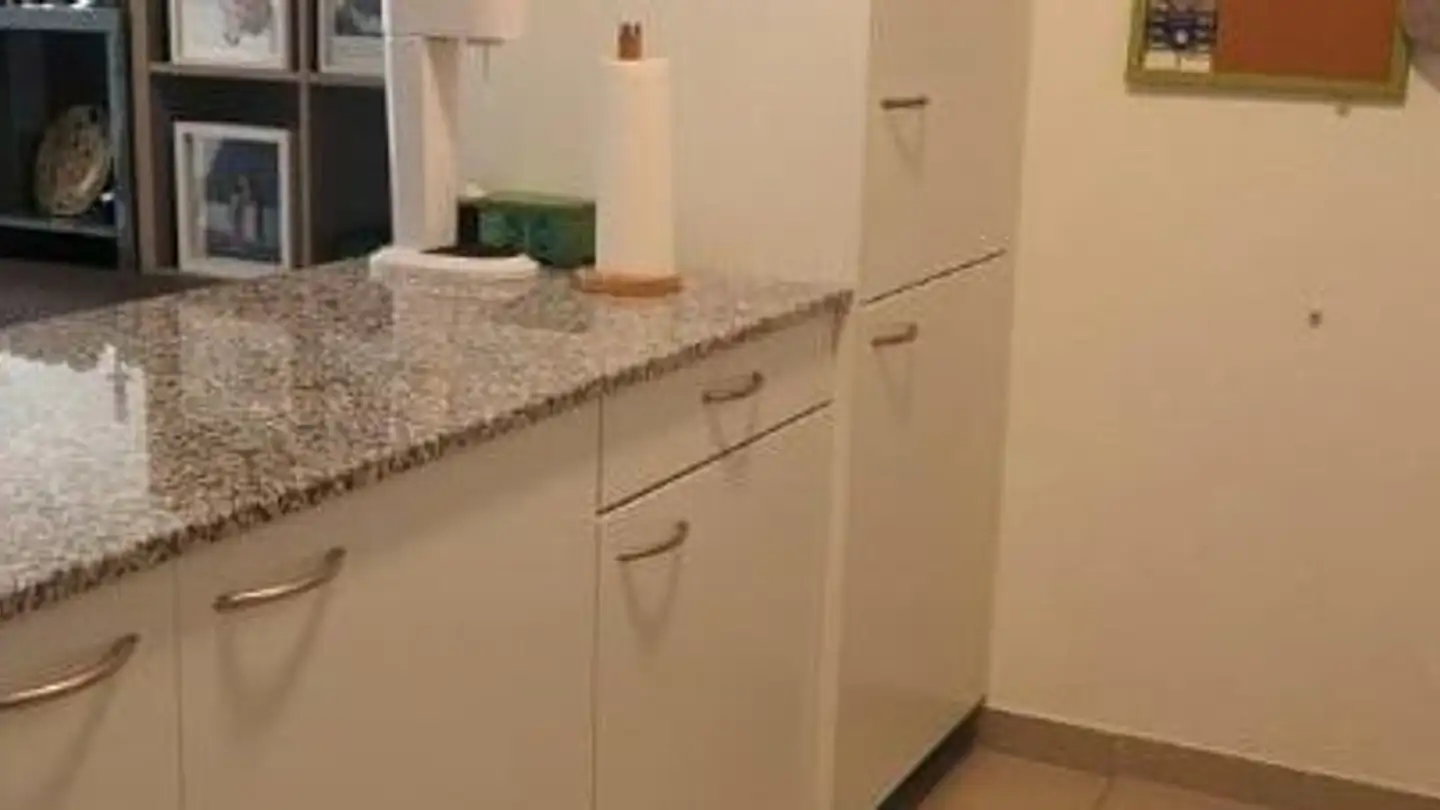 Wohnung mieten - Im Oberen Gern 6, 8409 Winterthur - Foto 4