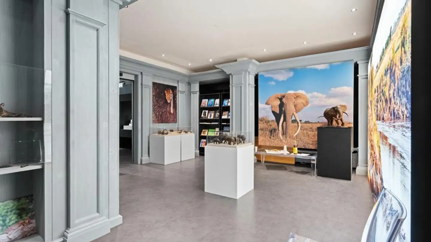 Magasin à vendre - Avenue De La Gare, 3963 Crans-Montana