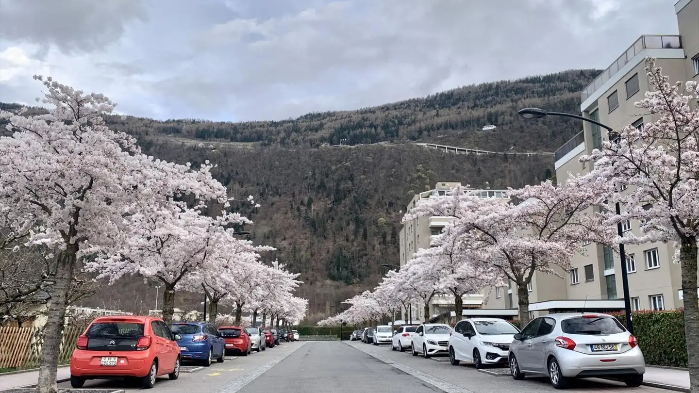 Appartamento in affitto - Rue Des Morasses, 1920 Martigny