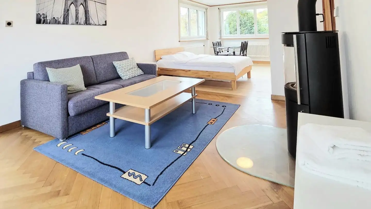 Single room for rent - 5712 Beinwil am See